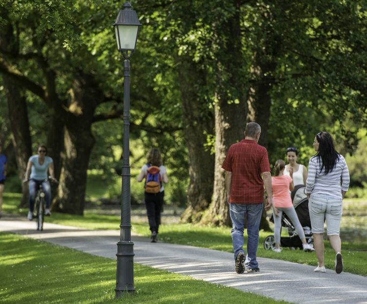 A busy day in the park