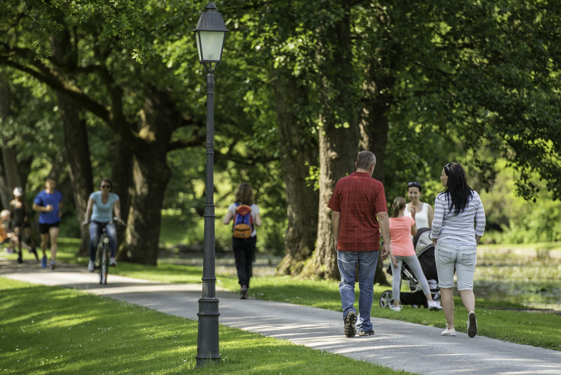 A busy day in the park