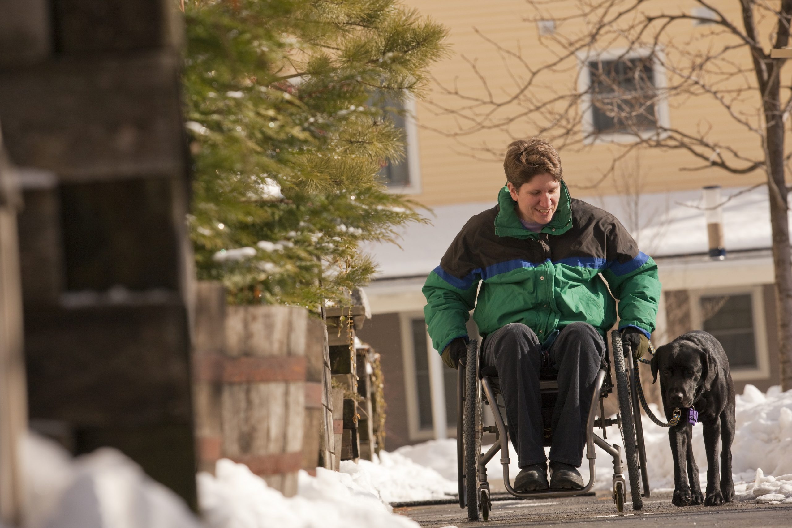 woman in wheelchair walking dog down snowy street