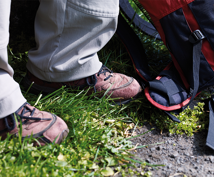 Dementia walks