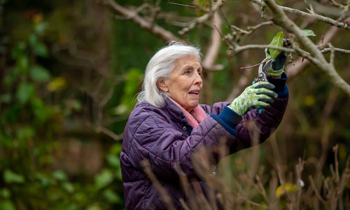 Active Ageing: Gardening