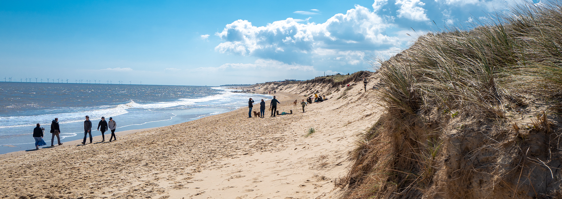 Norfolk beach in the spring