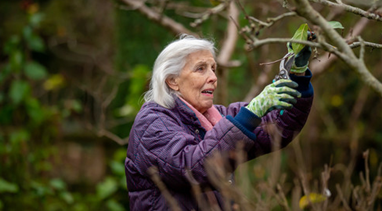 older lady gardening