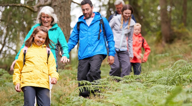 Encouraging People to Walk